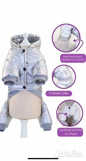 Одежда для собак