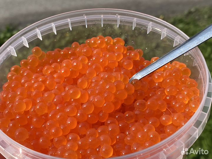 Красная икра горбуша