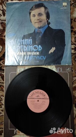 Виниловые пластинки