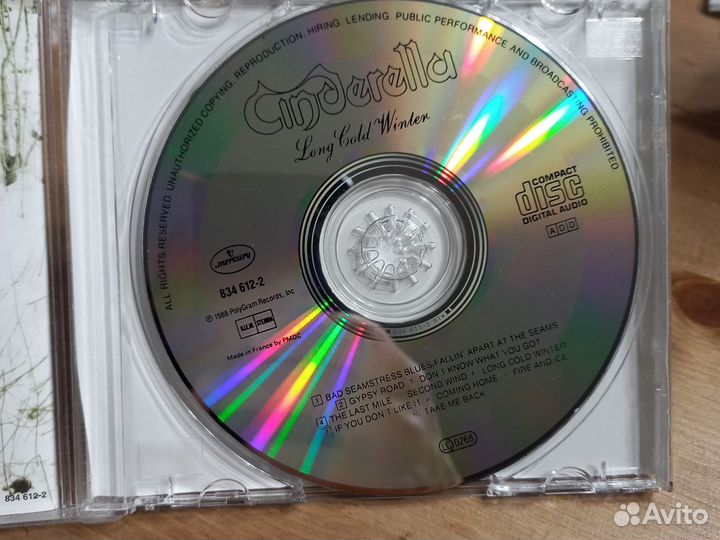 Cinderella. Long gold winter