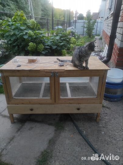 Брудер для цыплят бу