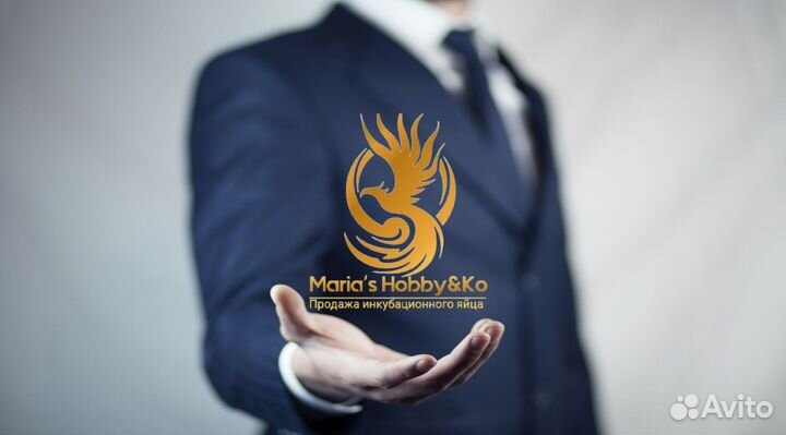 И/я бройлера с доставкой в Ваш город