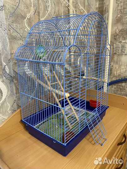 Клетка большая