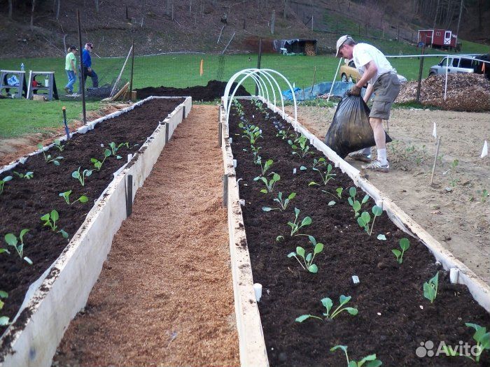 Чернозем для дачи плодородный с доставкой