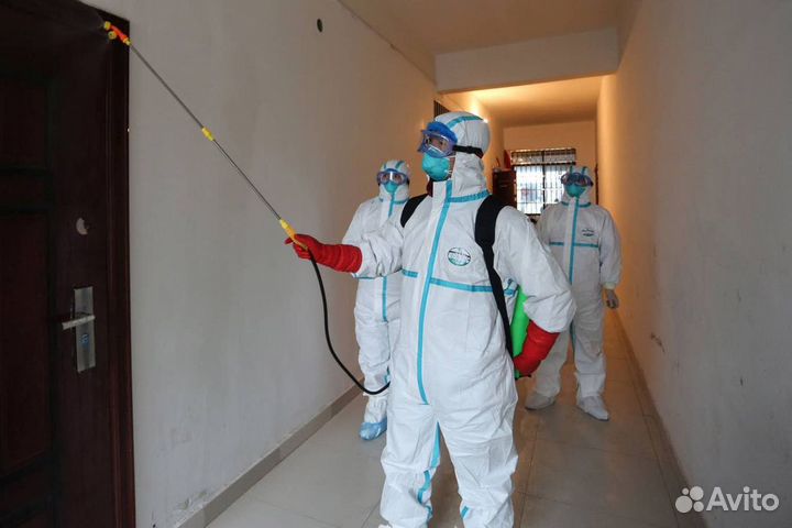 Уничтожение тараканов, клопов, блох, клещей