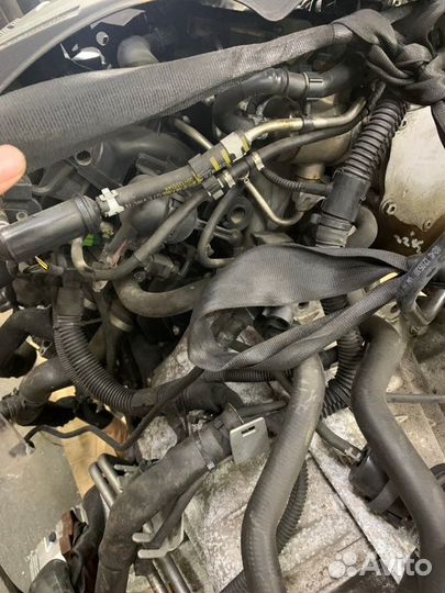 Двигатель Audi Q5 I 8R cdnc 2010