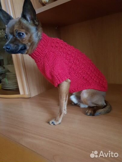 Вязанная одежда для питомцев,мелких пород