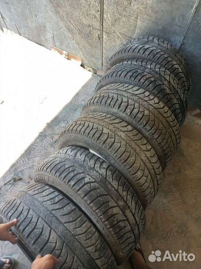 Gislaved Nord Frost 5 205/55 R16