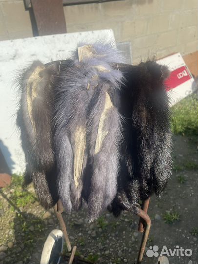 Хвосты норки