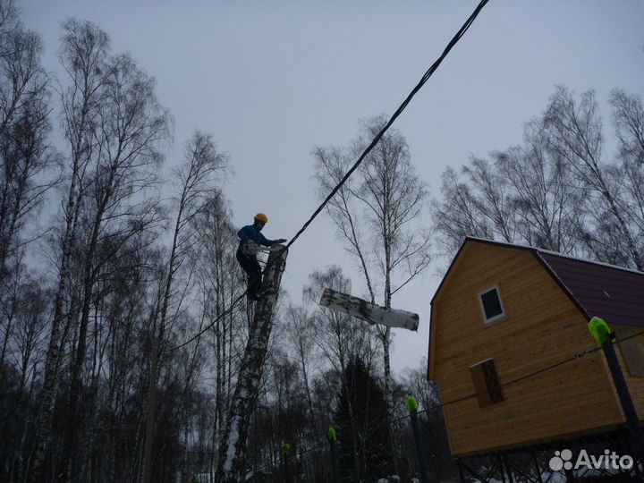 Спил деревьев