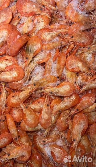 Креветка азовская