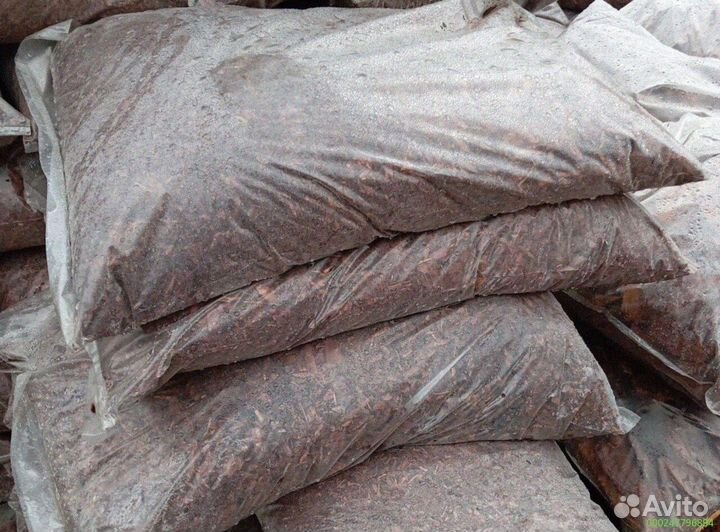 Лиственница: кора для здоровья и красоты