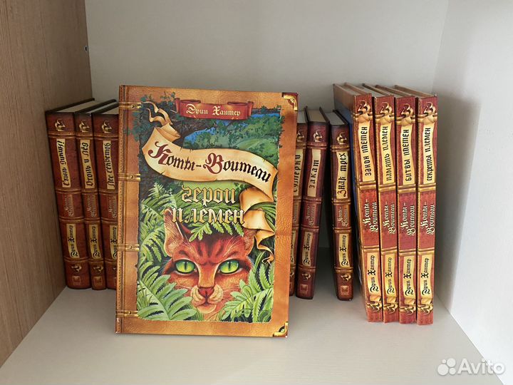 Серия книг Коты Воители