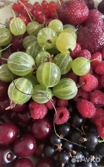 Пастила фруктовая, полезная еда