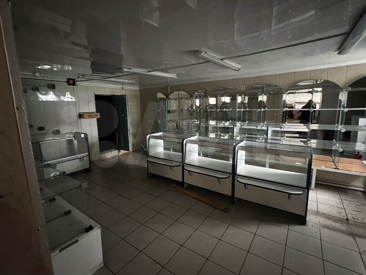 Свободного назначения