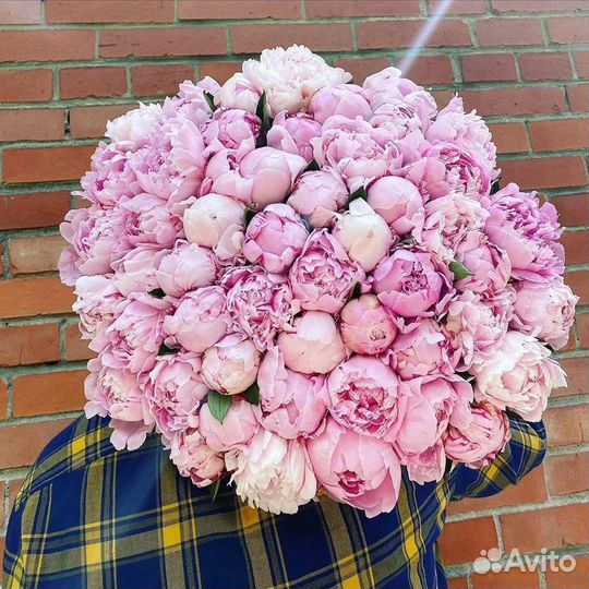 Букет из пионов