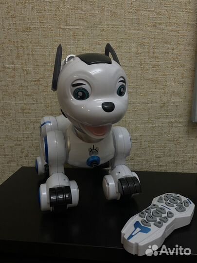Робот собака 