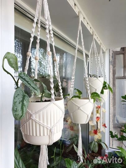 Подвес для цветов. Макрамэ