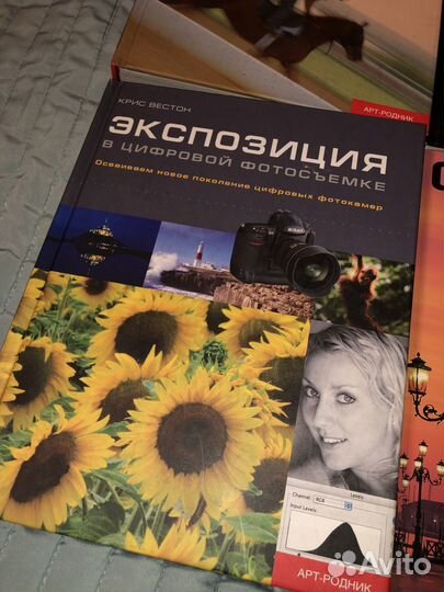 Крис Раттер / Экспозиция в Цифровой Фотографии