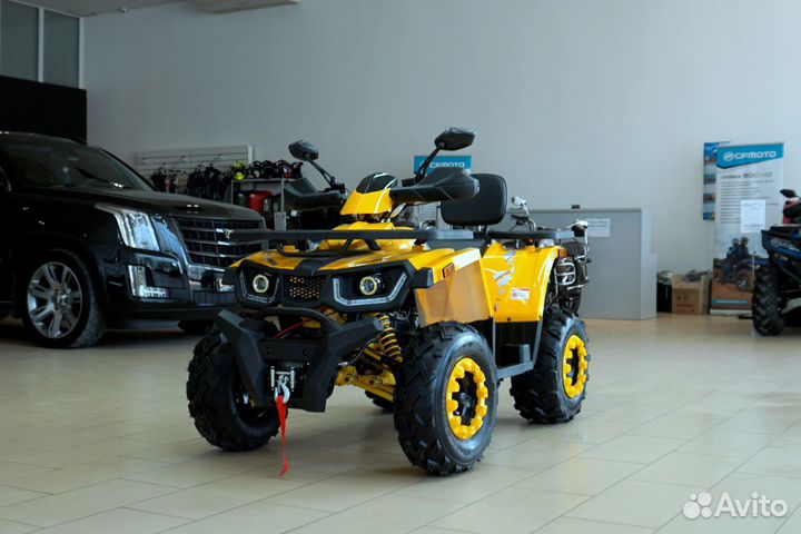 Avantis hunter 200 BIG LUX