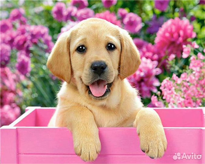 Алмазная мозаика