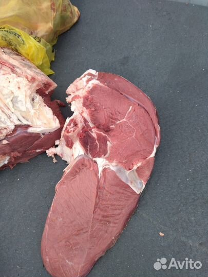 Мясо говядина