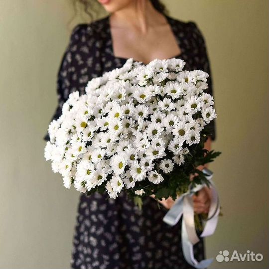 Хризантема Цветы Доставка