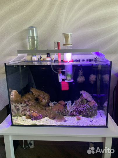 Морской аквариум