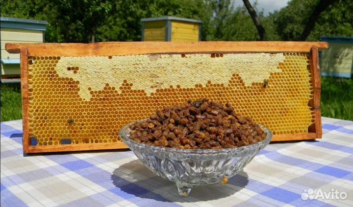 Мед свежий 2023