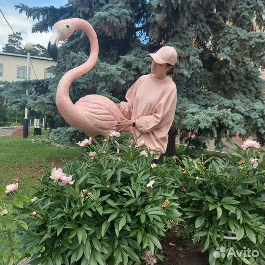 Фламинго Ростовой