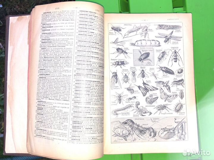 Французский словарь 1916 года