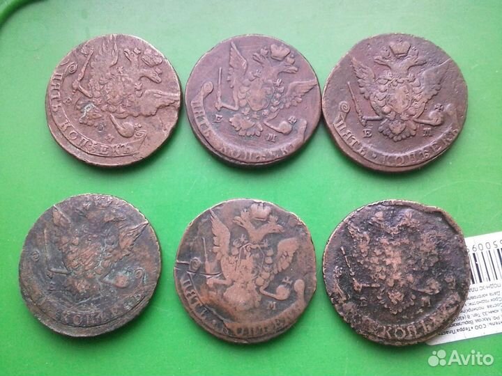 Погодовка Екатерина пятаки