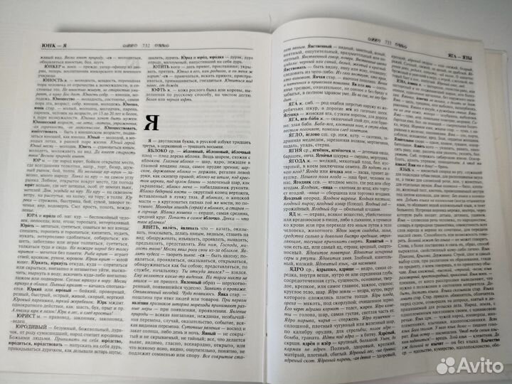 Толковый словарь В.И.Даль