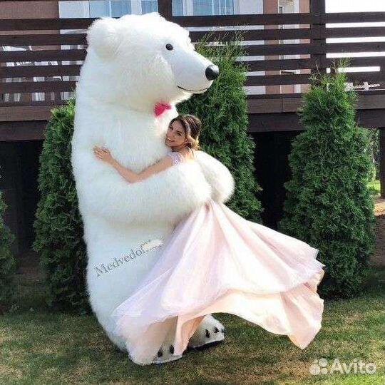 Белый мишка поздравление