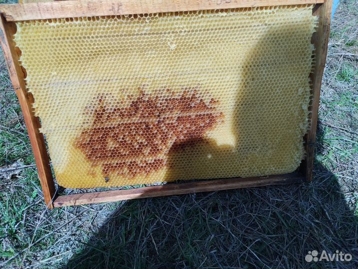 Рамка с сушью