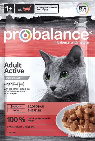 Корм для кошек