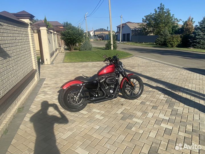 Harley-Davidson xl883n iron