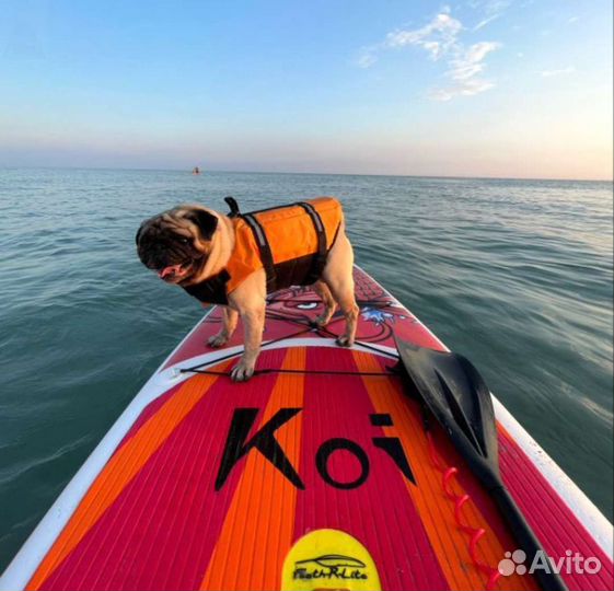 Сапборд Koi, Sup доска Funwater Koi 350 см