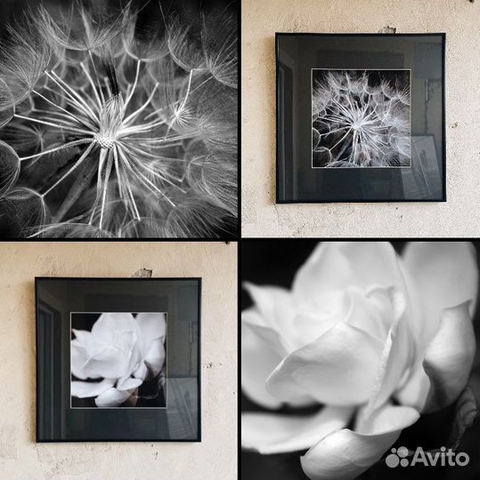 Диптих (2шт 50х50см)