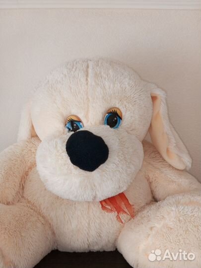 Большая мягкая собака