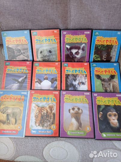 DVD диски о животных