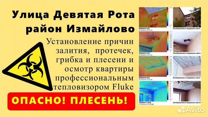 Экспертиза досудебная, судебная, рецензия