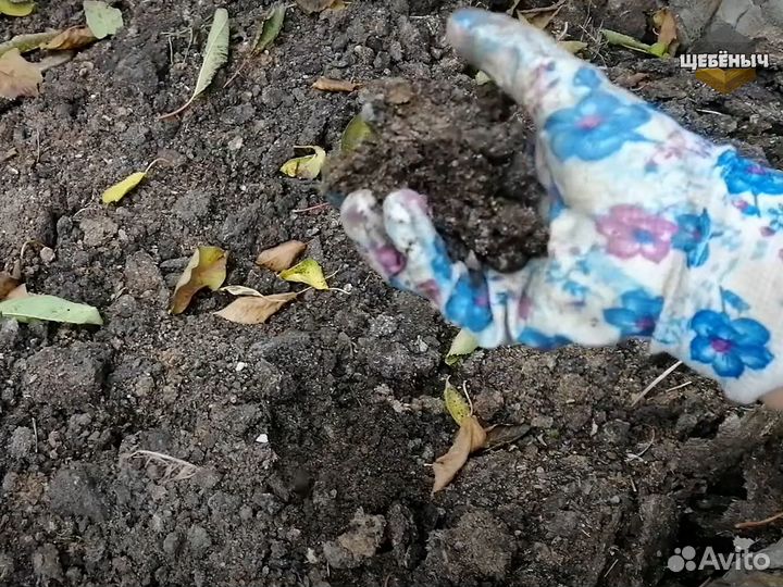 Навоз куриный, куриный помет