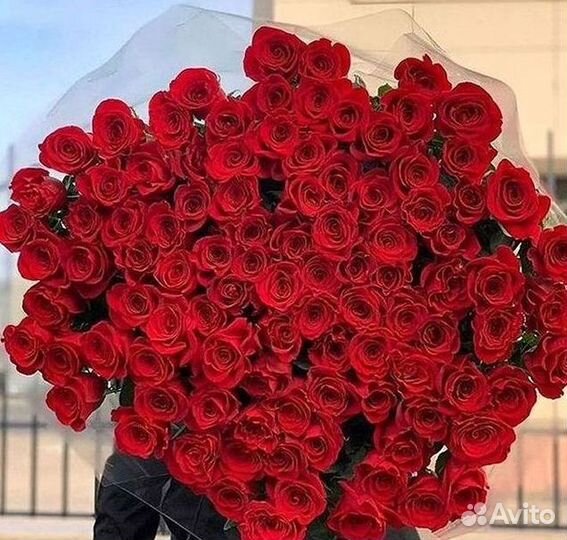 Высокие розы Гигантские Розы 150 160 170 180 190см