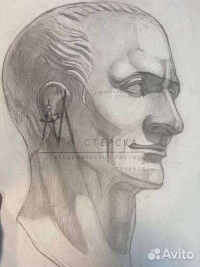 Репетитор по академическому рисунку мархи