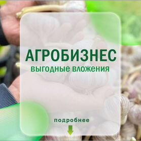 Готовый бизнес с доходностью до 60% годовых