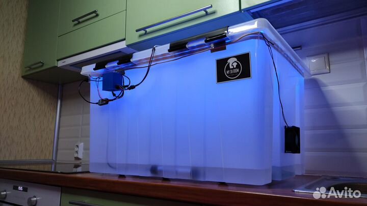 Парник инкубатор для грибов bigbox