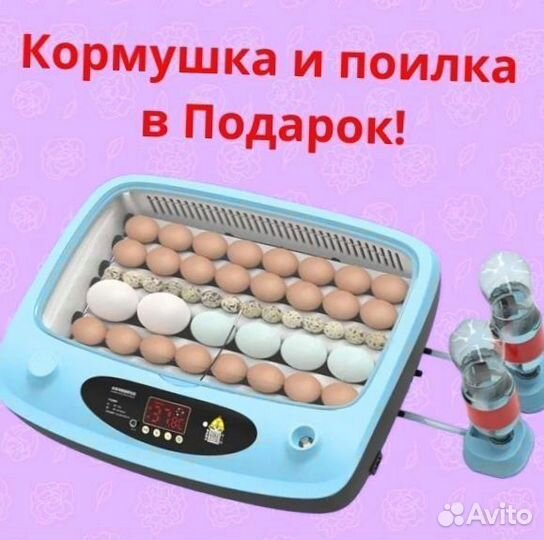 Инкубатор