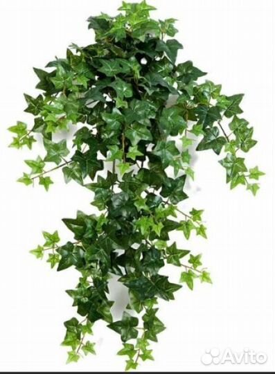 Искусственный плющ