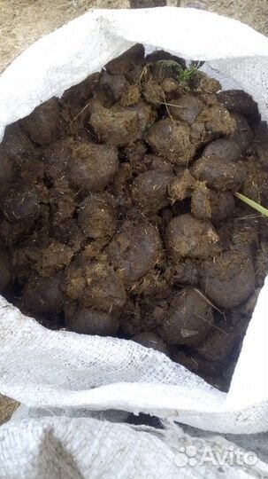 Конский навоз